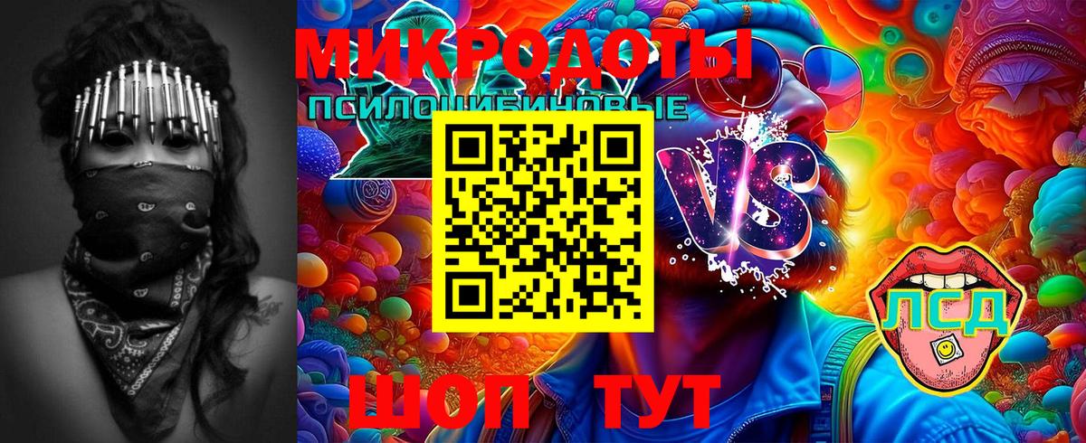 Переславль-Залесский  Галлюциногенные грибы прущие грибы  Вход с VPN 